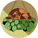 Диана Ш. profile picture